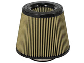 aFe Magnum FLOW Pro GUARD 7 Intake Replacement Air Filter 5.5 F / (7x10) B / 7 T (Inv) / 8in H - Circuit Hero