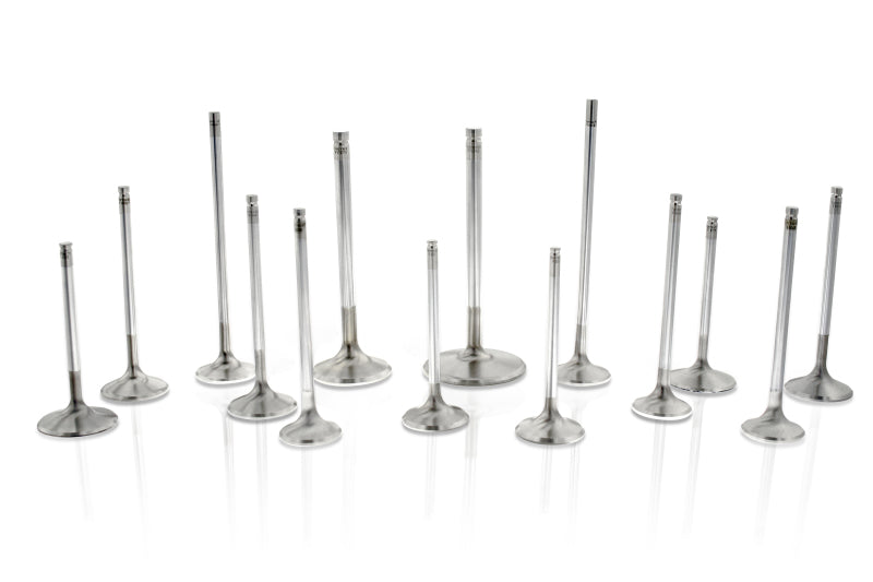 Ferrea Nissan NEO 34.15mm 5.98mm 104.2mm 20 Deg S-Flo Stock Comp Plus Intake Valve - Set of 12 - Circuit Hero