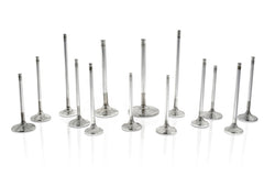 Ferrea Nissan NEO 34.15mm 5.98mm 104.2mm 20 Deg S-Flo Stock Comp Plus Intake Valve - Set of 12 - Circuit Hero