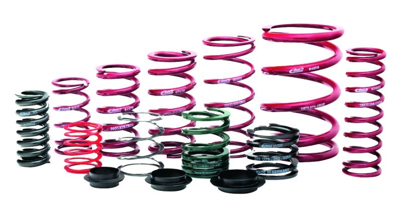 Eibach ERS 12.00 in. Length x 2.50 in. ID Coil-Over Spring - Circuit Hero