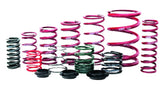Eibach ERS 12.00 in. Length x 2.50 in. ID Coil-Over Spring - Circuit Hero