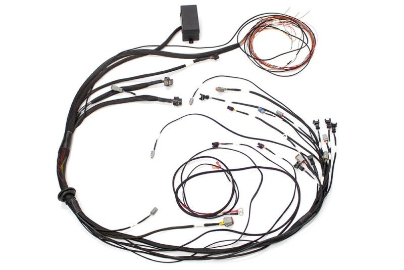 Haltech Elite 1000 Terminated Harness - Circuit Hero