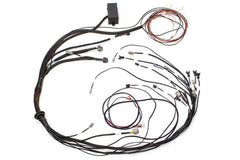 Haltech Elite 1000 Terminated Harness - Circuit Hero