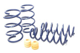 H&R 22-23 Volkswagen Golf R MK8 OE Sport Spring - Circuit Hero