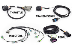 Haltech NEXUS Rebel LS Gen IV 6-Pin DBW Throttle/EV6 Injectors/Manual Transmission - Circuit Hero
