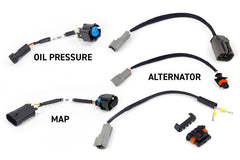 Haltech NEXUS Rebel LS Gen IV 6-Pin DBW Throttle/EV6 Injectors/Manual Transmission - Circuit Hero