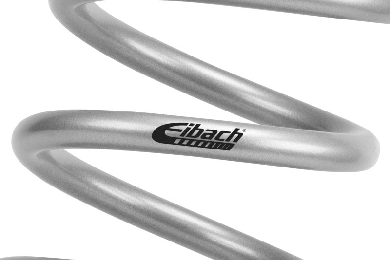 Eibach ERS 12.00 in. Length x 2.50 in. ID Coil-Over Spring - Circuit Hero